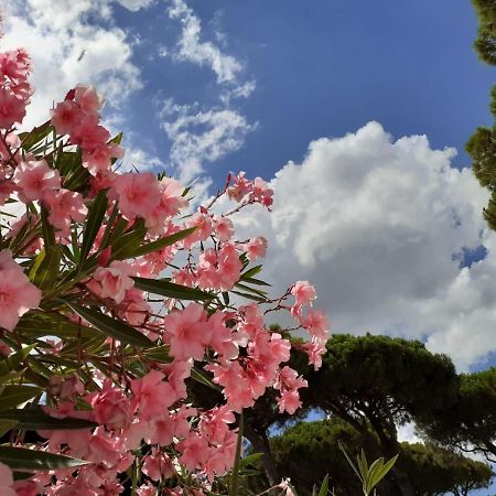 Romea Family Camping Casal Borsetti Kültér fotó